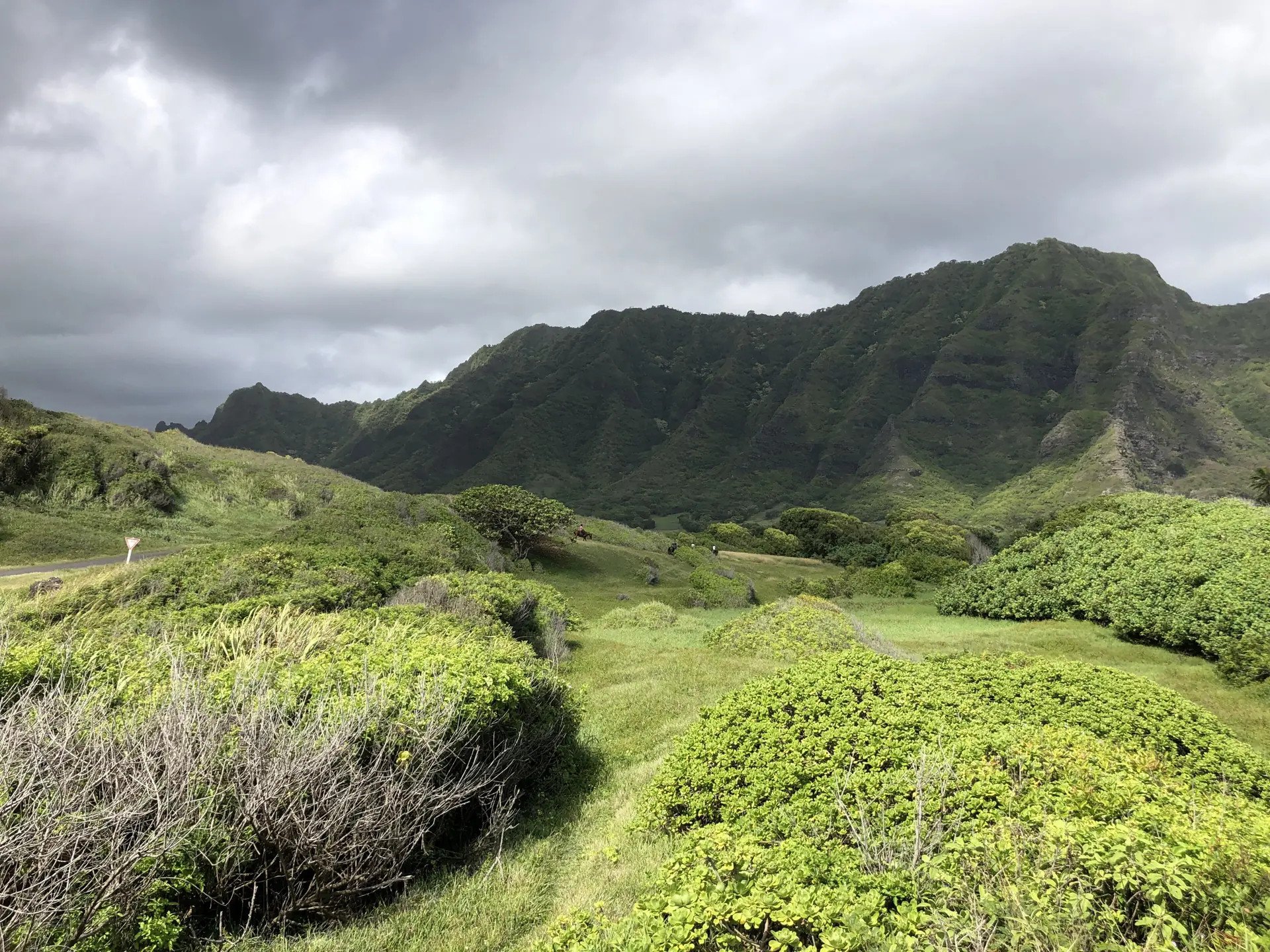 Blick nach Westen ins grüne Kaʻaʻawa-Tal der Kualoa Ranch, die gefalteten Klippen auf beiden Seiten