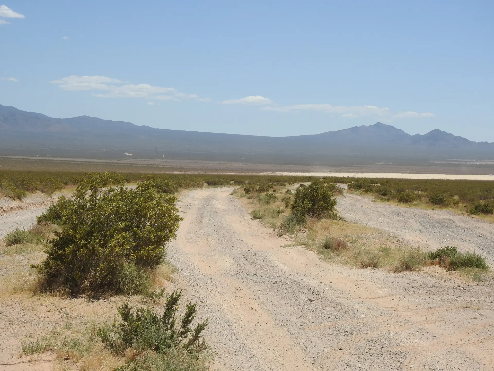Eine sandige Piste durch die Kreosotflächen der Mojave-Wüste Richtung Jean Lake, dahinter Berge