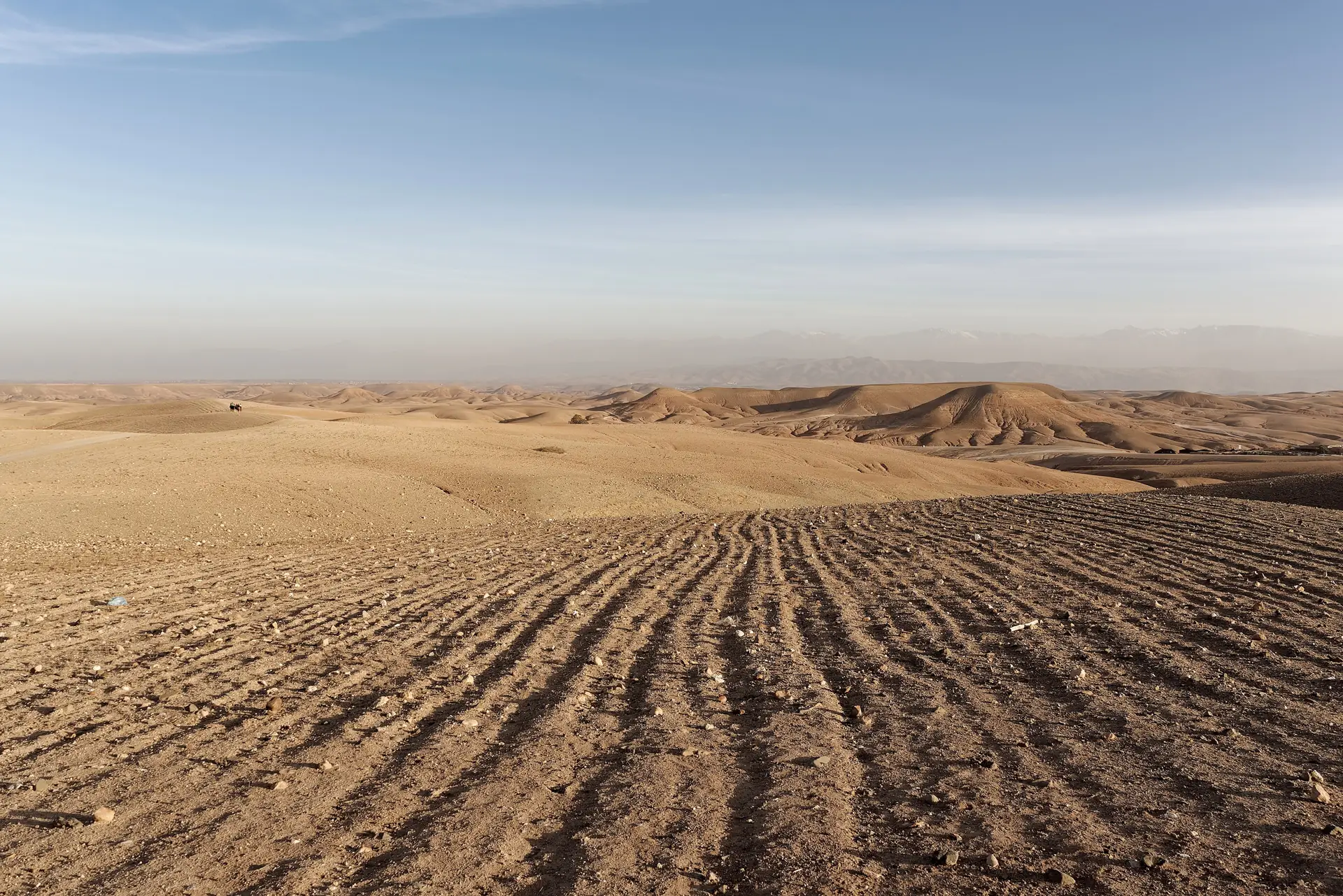 The grey stone hills of the Agafay desert at dusk with the Atlas behind