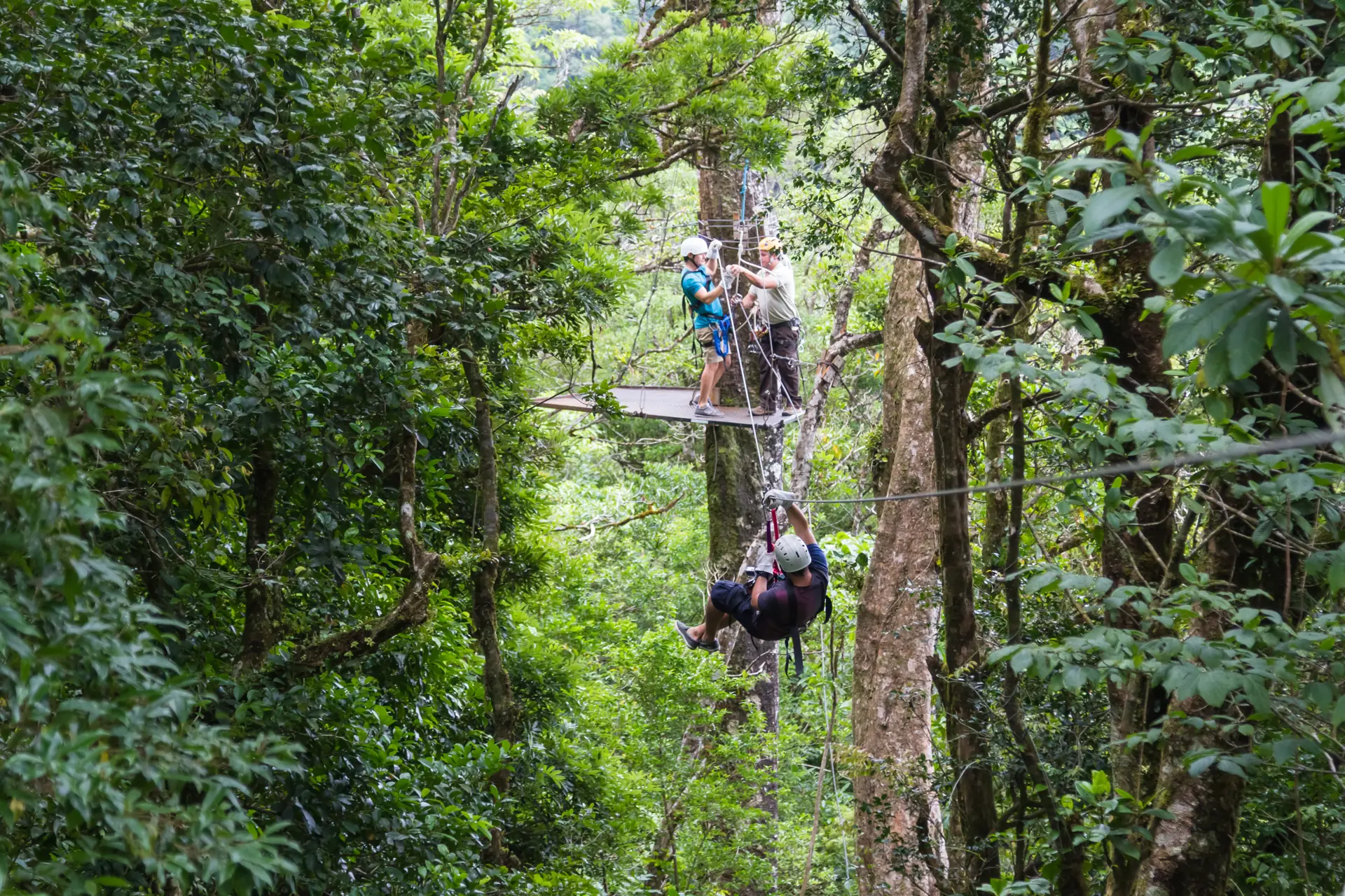 A zipline rider crossing a gap in the cloud-forest canopy, seen from the platform behind (symbolic image, not Wimberley)