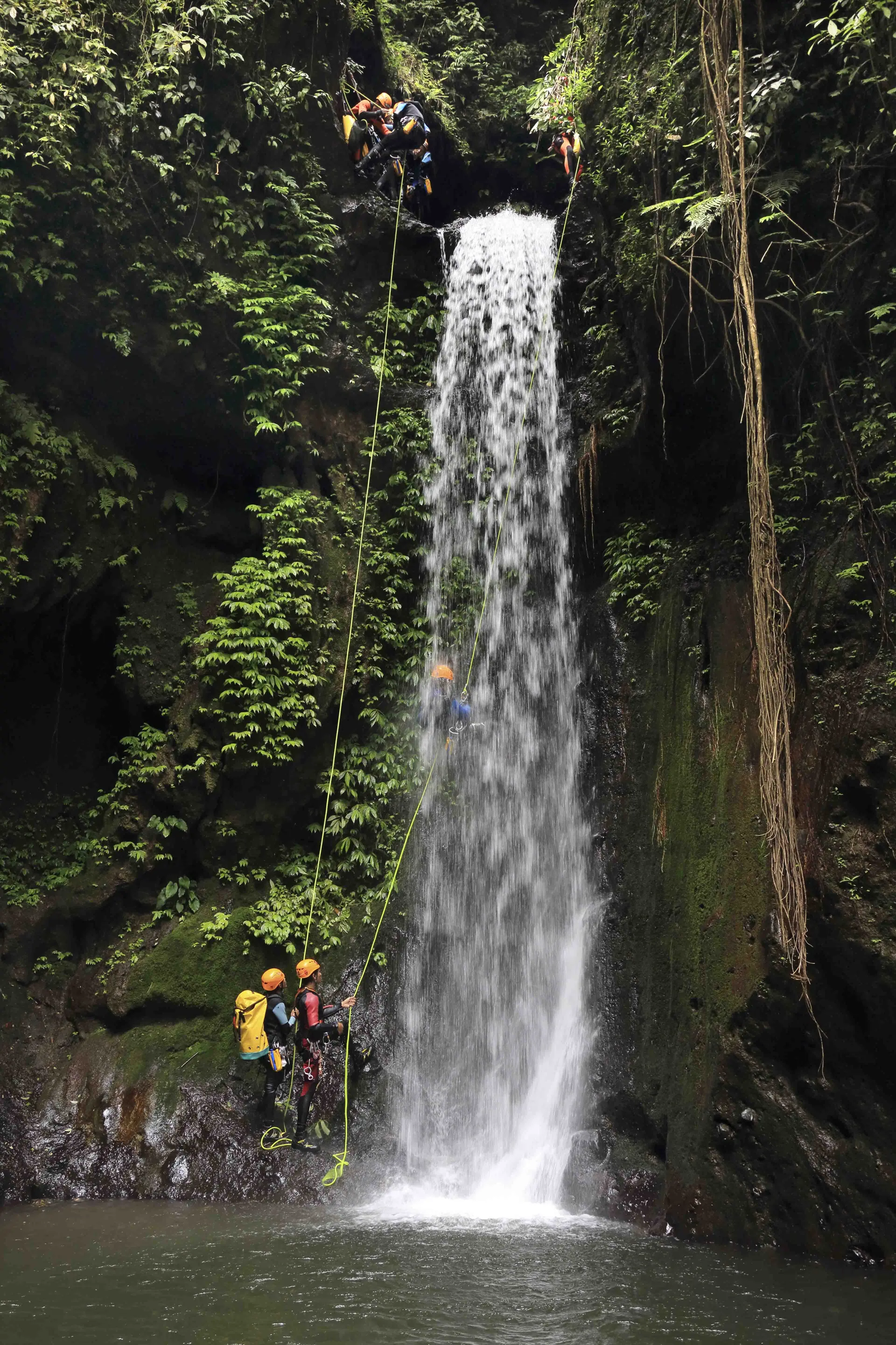 Canyoners rappelling beside a waterfall into a jungle pool in northern Bali