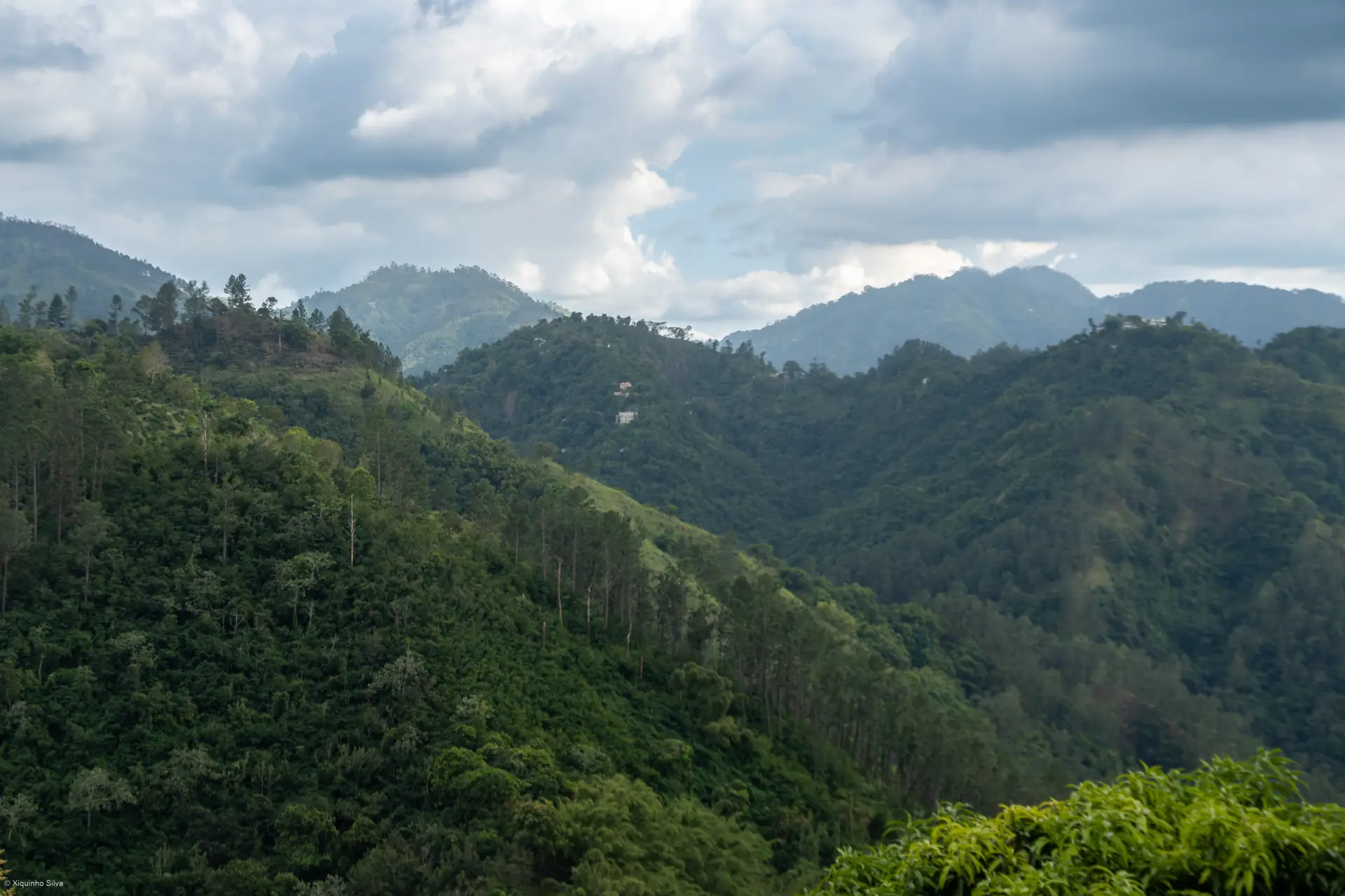 Forested ridges of the Blue and John Crow Mountains in Jamaica under cloud