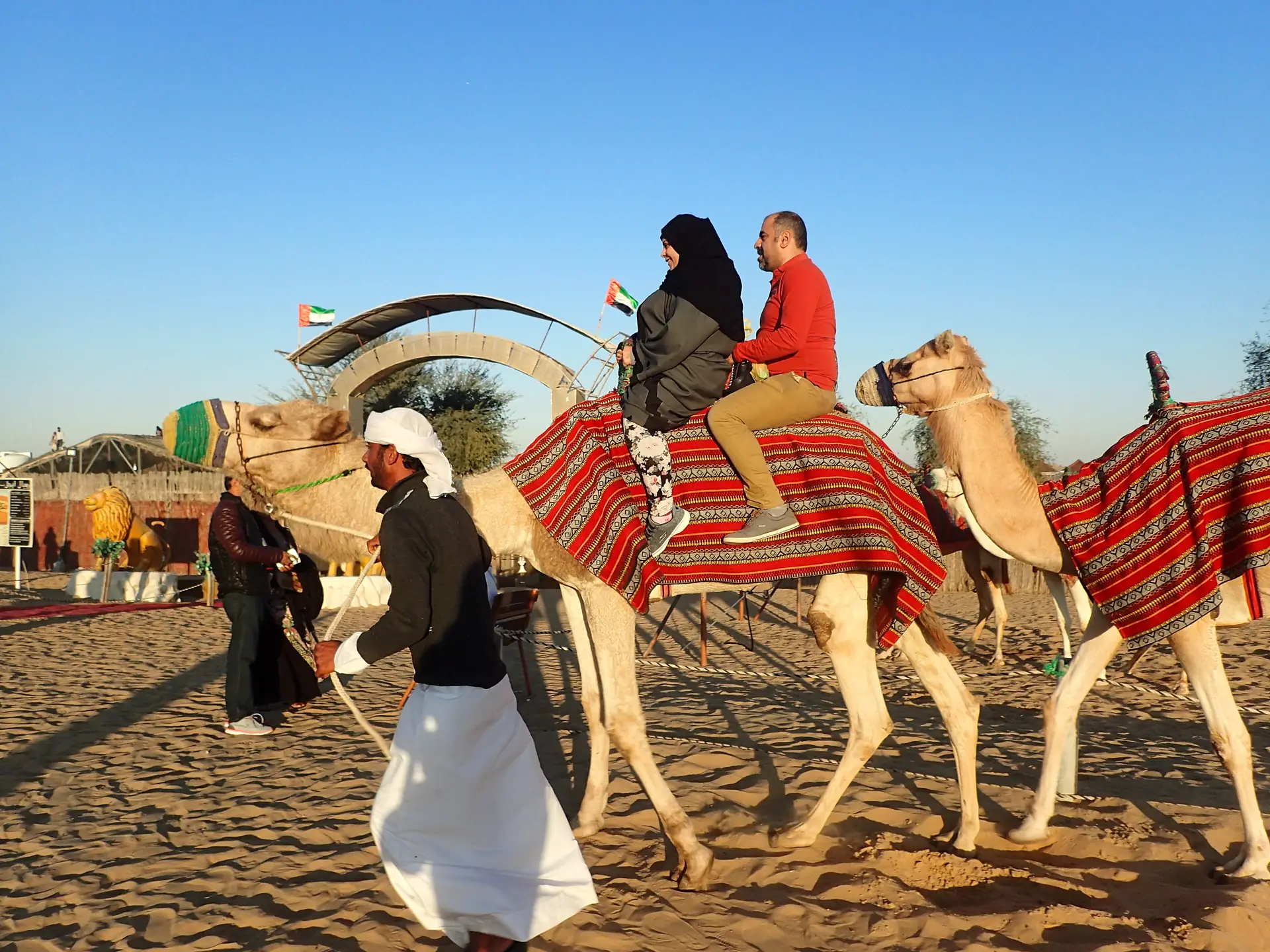 Camels and 4x4 tracks on the red dunes of the Dubai desert during a safari