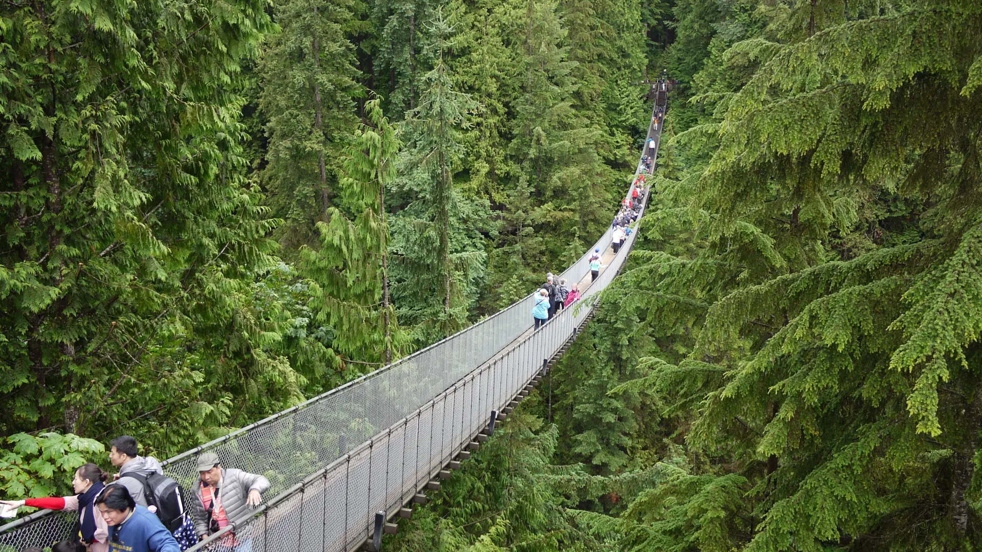The Capilano Suspension Bridge crossing high above the forested canyon with visitors on it