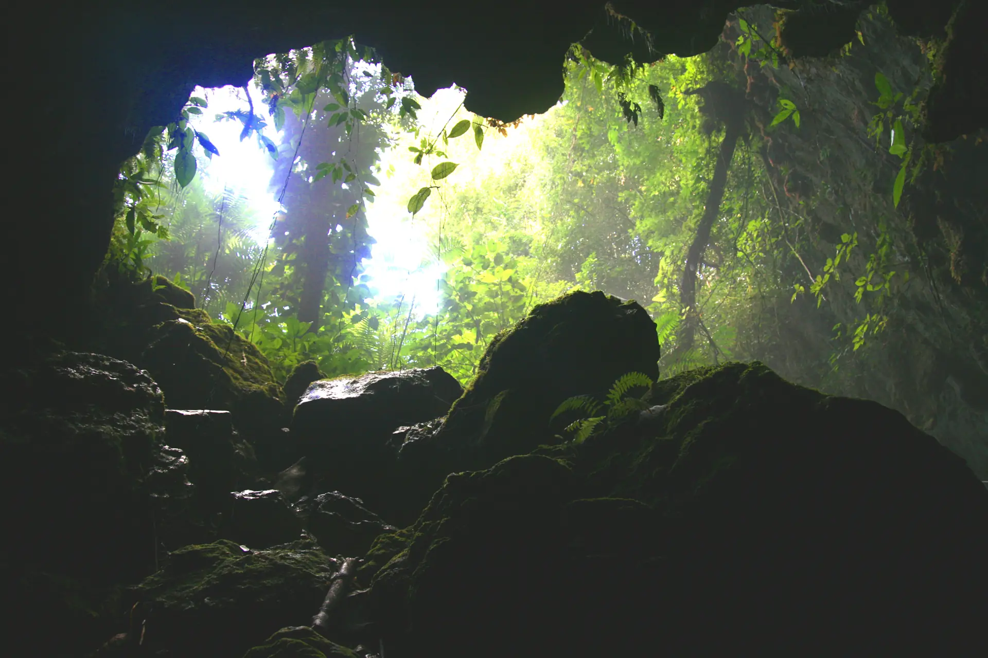 Looking up out of a cave mouth into sunlit jungle in Belize