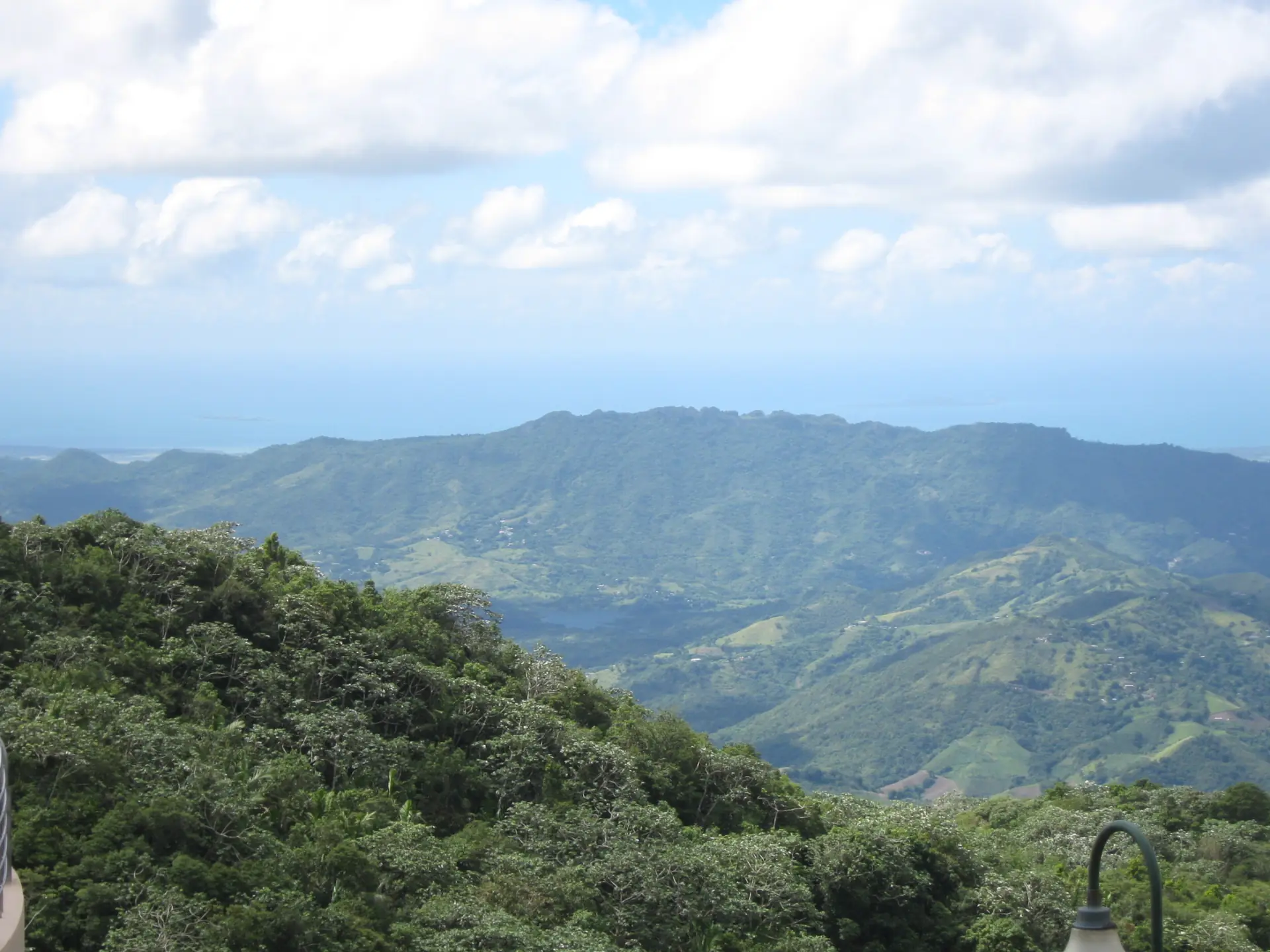 The forested ridges of the Cordillera Central seen from the Villalba–Orocovis lookout