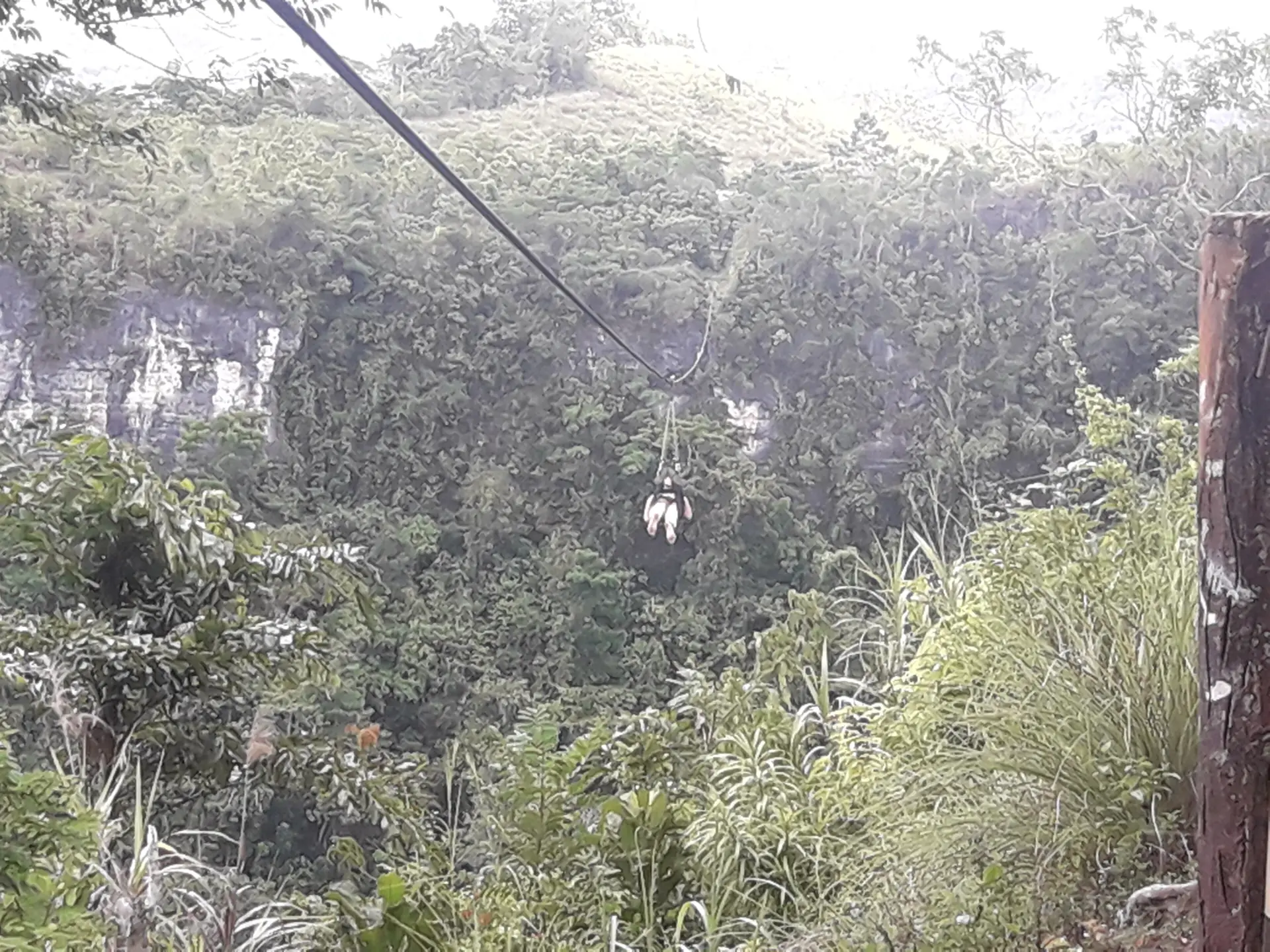 A rider on the Suislide zipline mid-cable above the forested gorge at Danao Adventure Park, Bohol, cliff wall behind