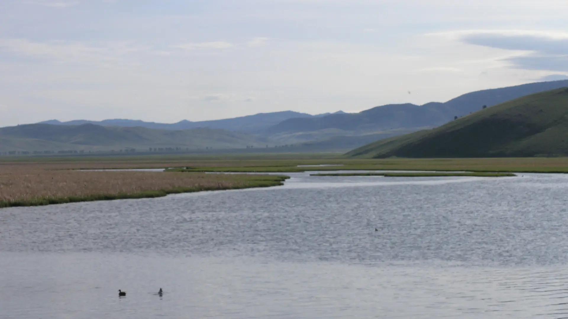 Flat Creek winding across the floor of Jackson Hole with low hills behind