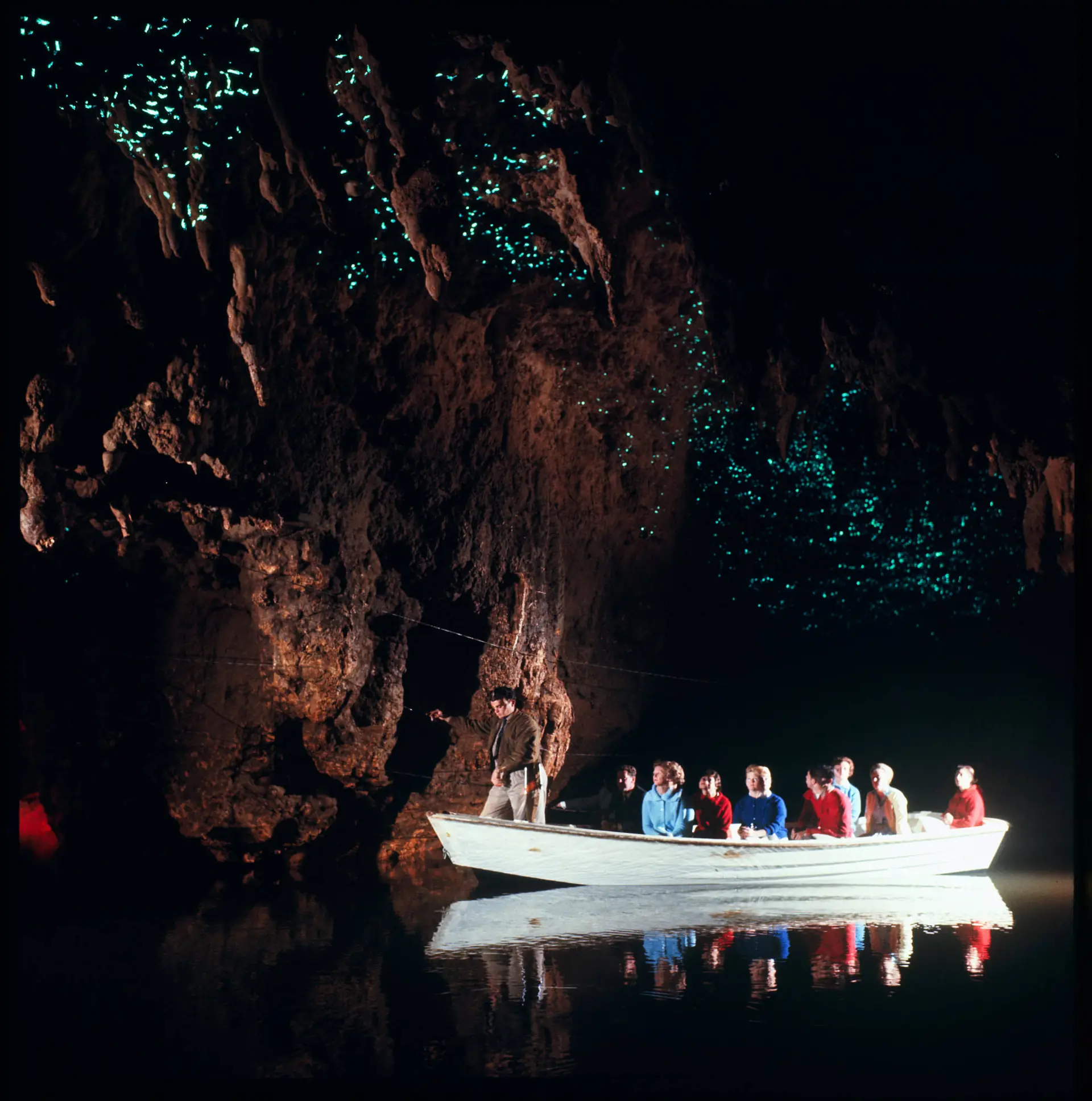 Glowworms lighting the roof of a cave chamber at Waitomo