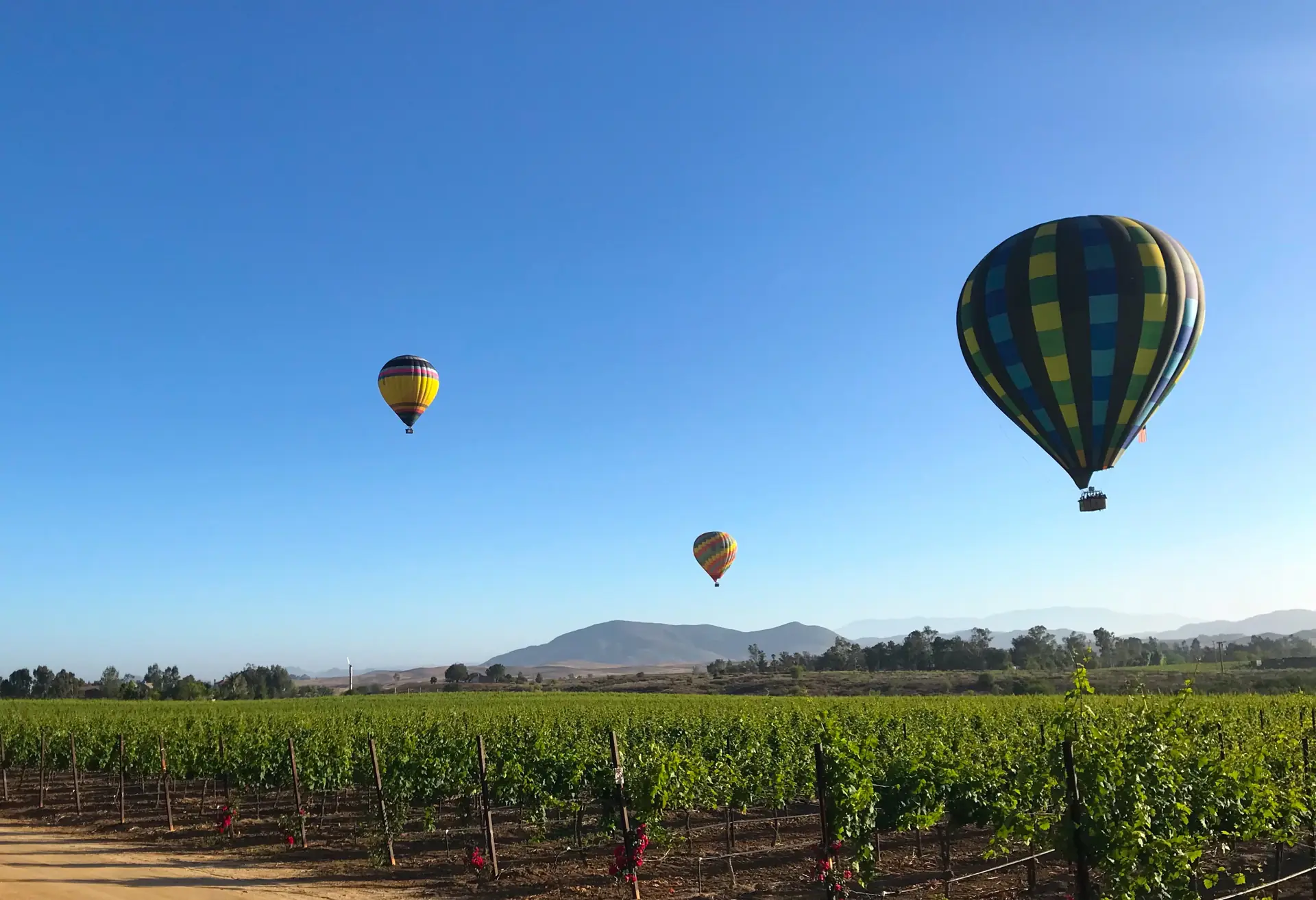Hot-air balloons over Southern California vineyards
