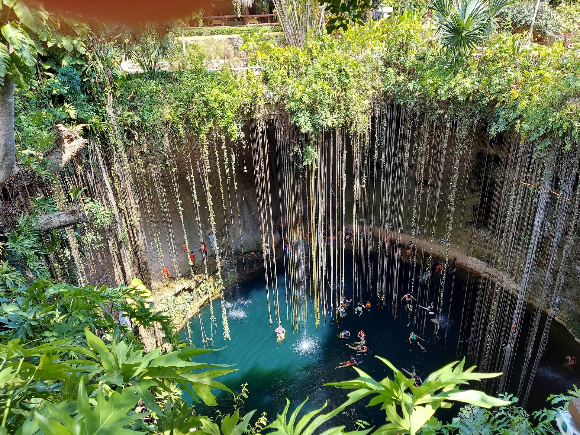Swimmers in the round blue pool of Cenote Ik Kil, roots hanging down the rock walls (symbolic image, not the Ruta de los Cenotes)