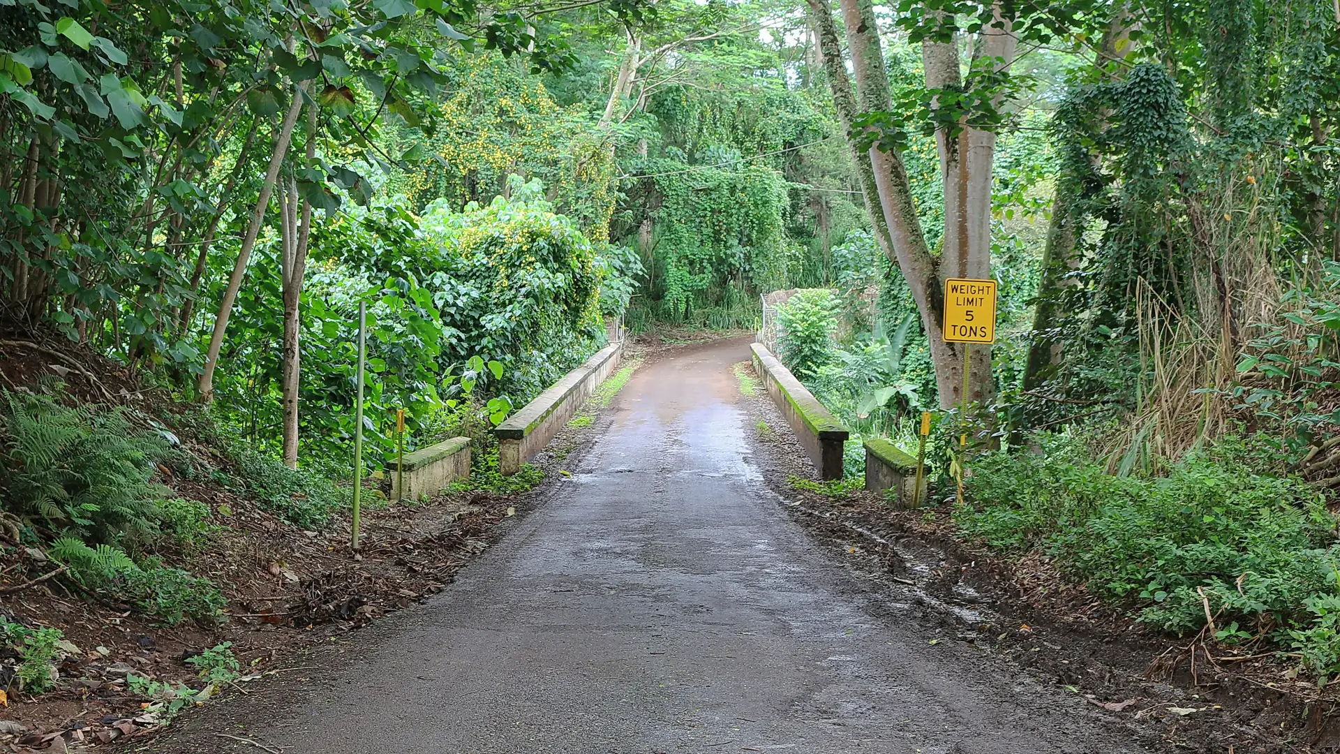 Ehemaliges Plantagenland bei Lihue aus der Luft, Felder, ein Stausee und Wald
