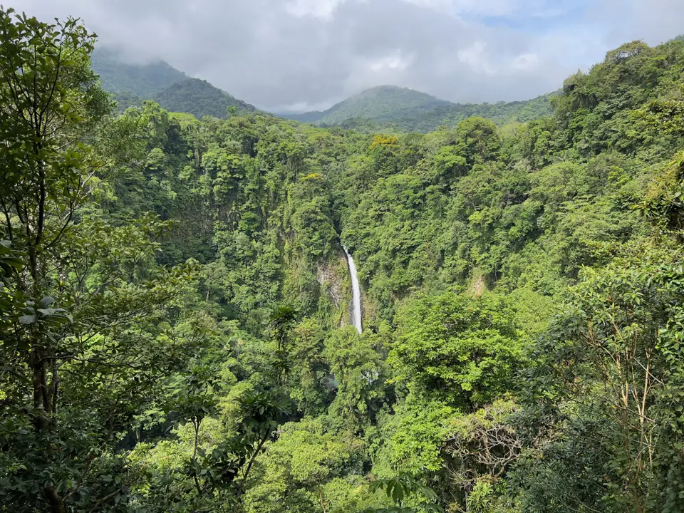 Der Wasserfall La Fortuna stürzt in ein Becken im Dschungel