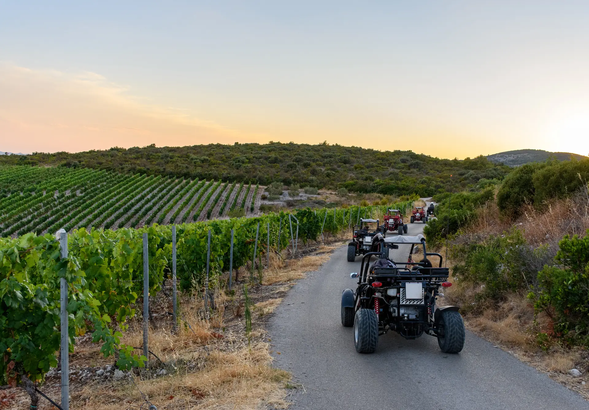 A convoy of off-road buggies on a narrow lane between vineyards and Mediterranean scrub at sunset (symbolic image, Korčula, not Mallorca)