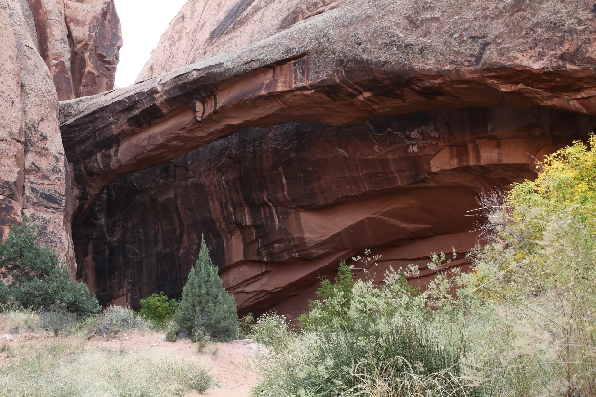 Morning Glory Natural Bridge spanning a side canyon near Moab