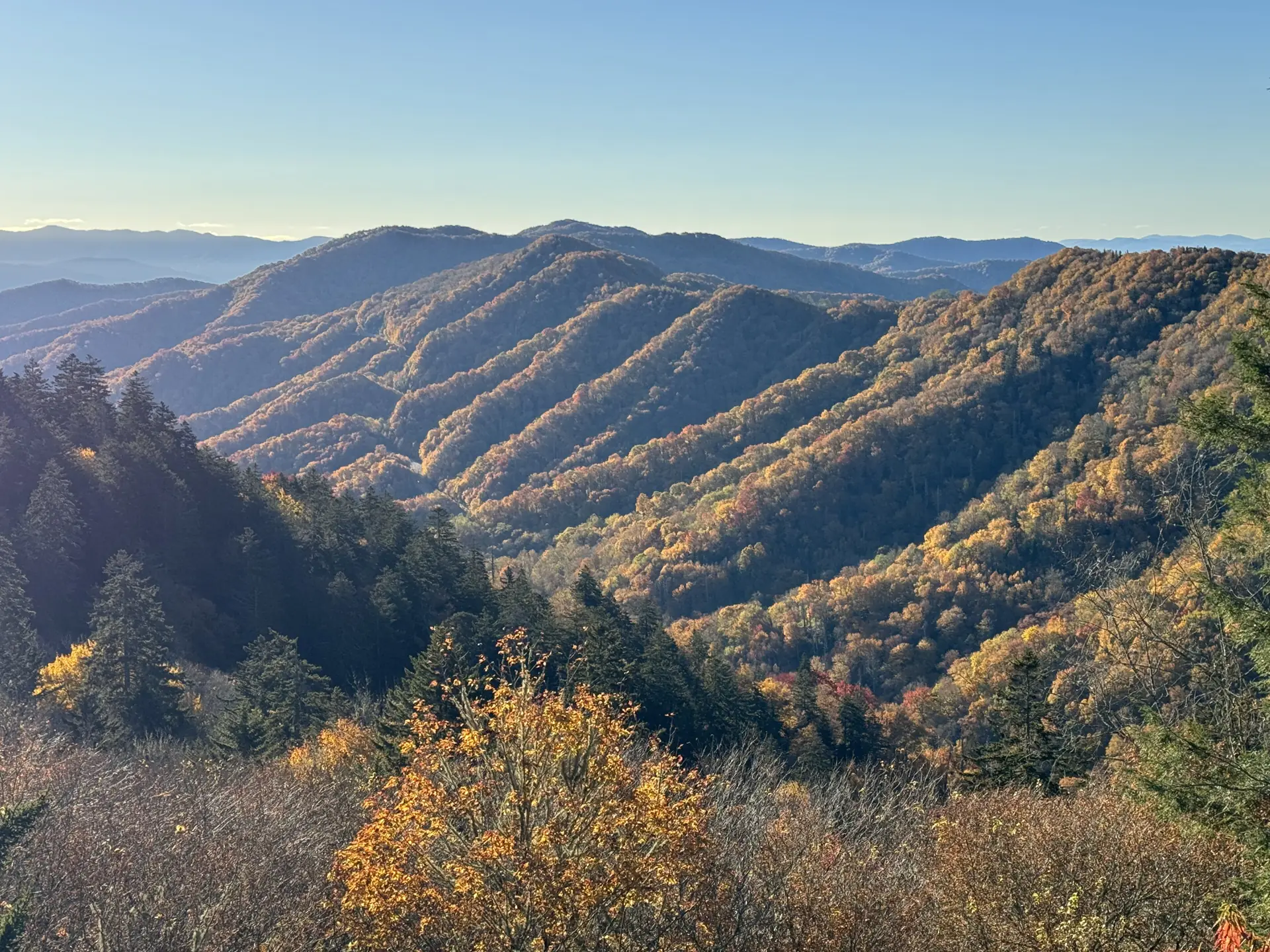 Ridges of the Great Smoky Mountains in autumn colour seen from Newfound Gap