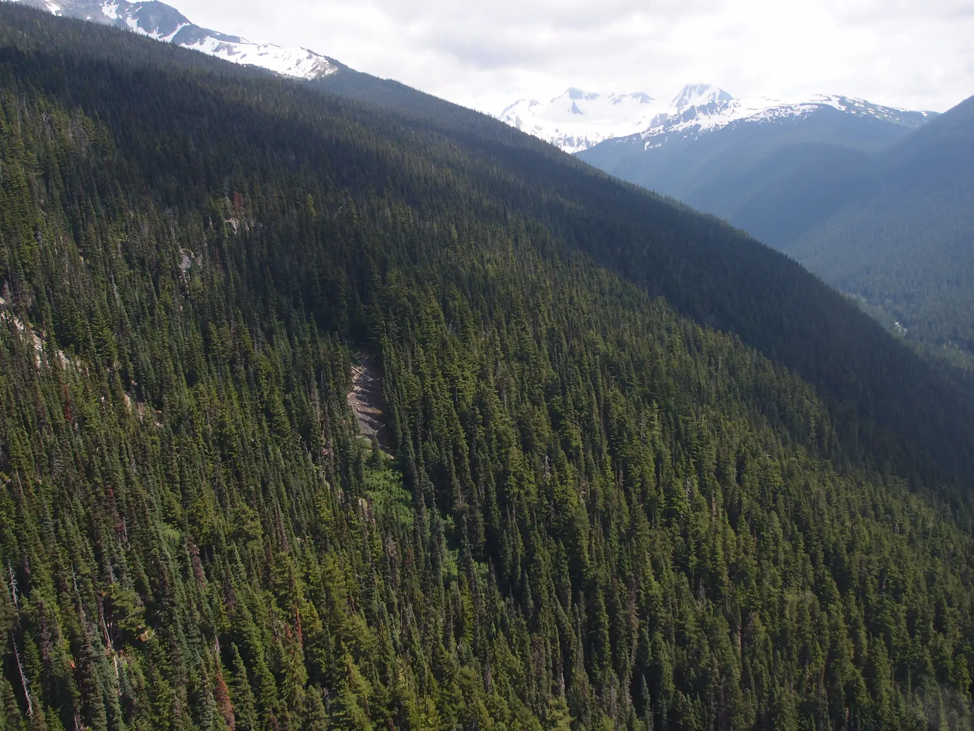 A Peak 2 Peak Gondola cabin high above the forested Fitzsimmons Valley on its way to Whistler Mountain