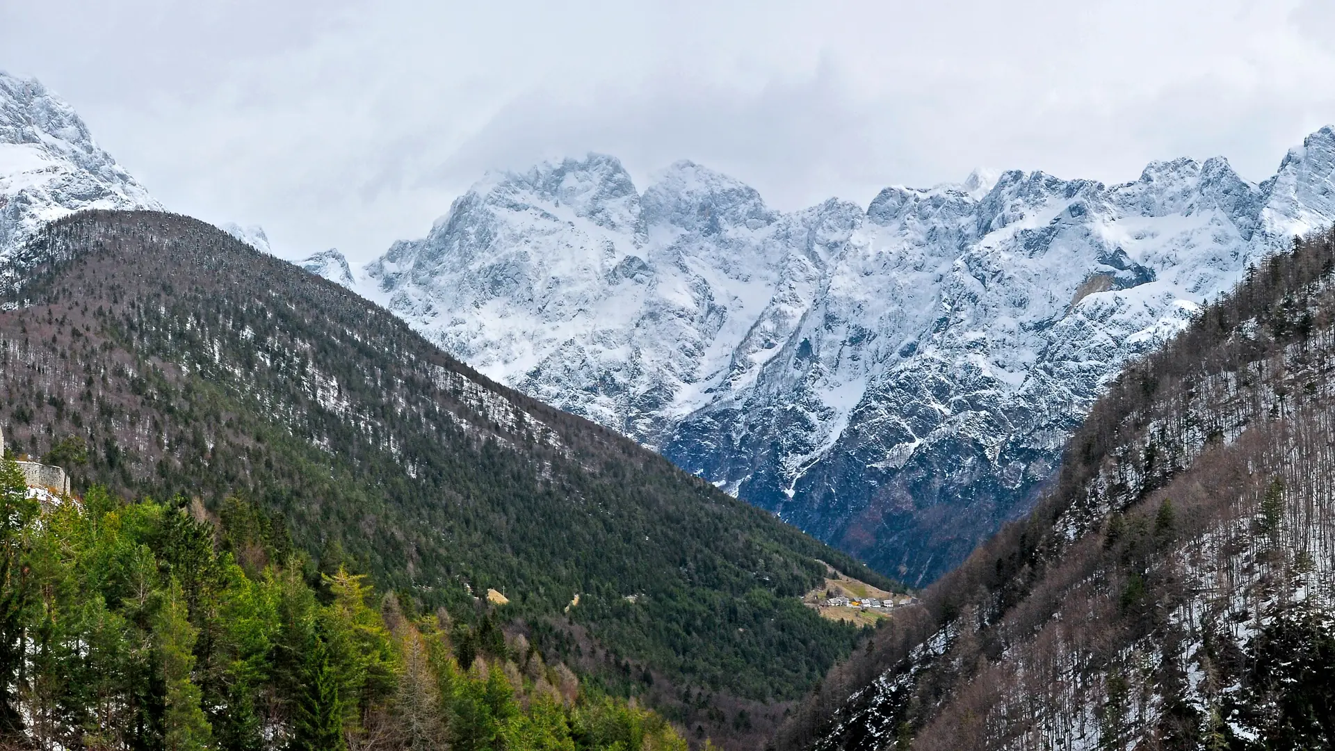 The forested Koritnica valley near Bovec