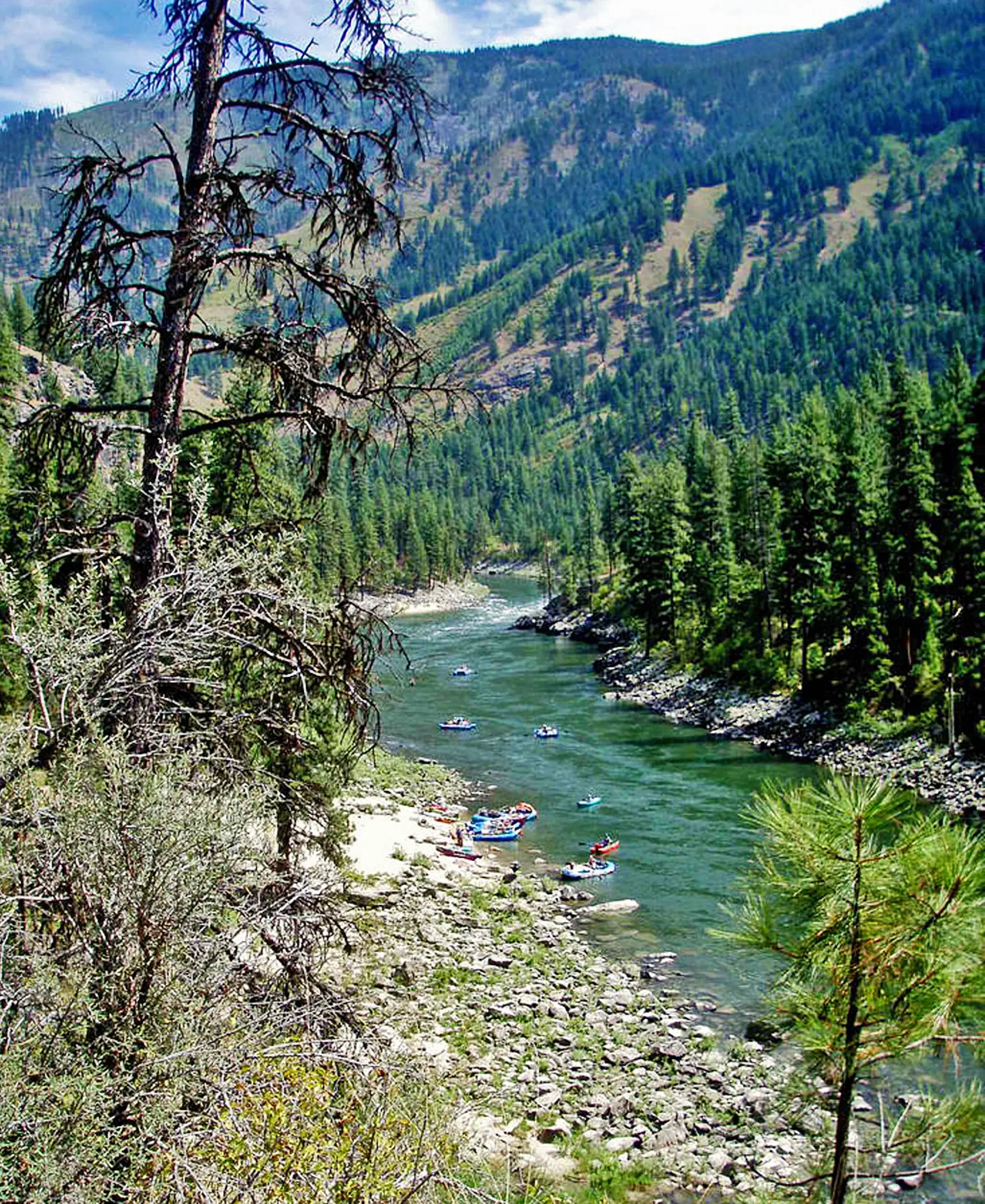Rafts drifting through the forested Snake River Canyon in Wyoming