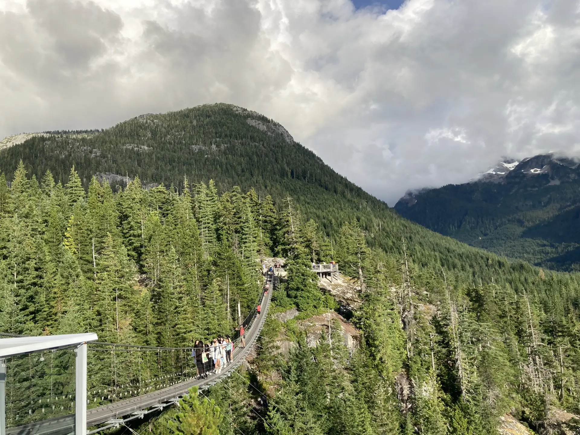 The Sky Pilot Suspension Bridge leading away from the Sea to Sky Gondola summit over forested slopes