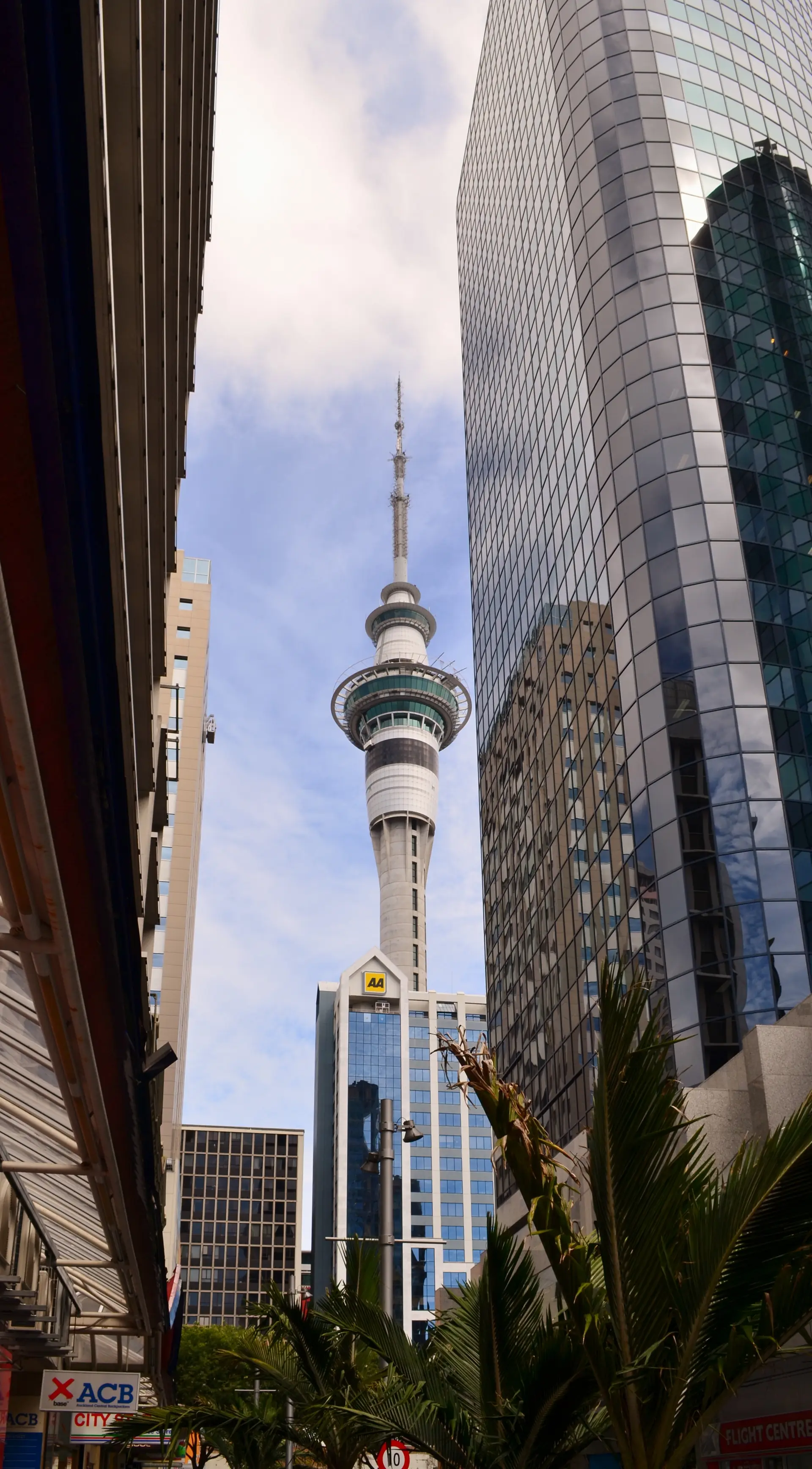 The Sky Tower standing over the Auckland skyline