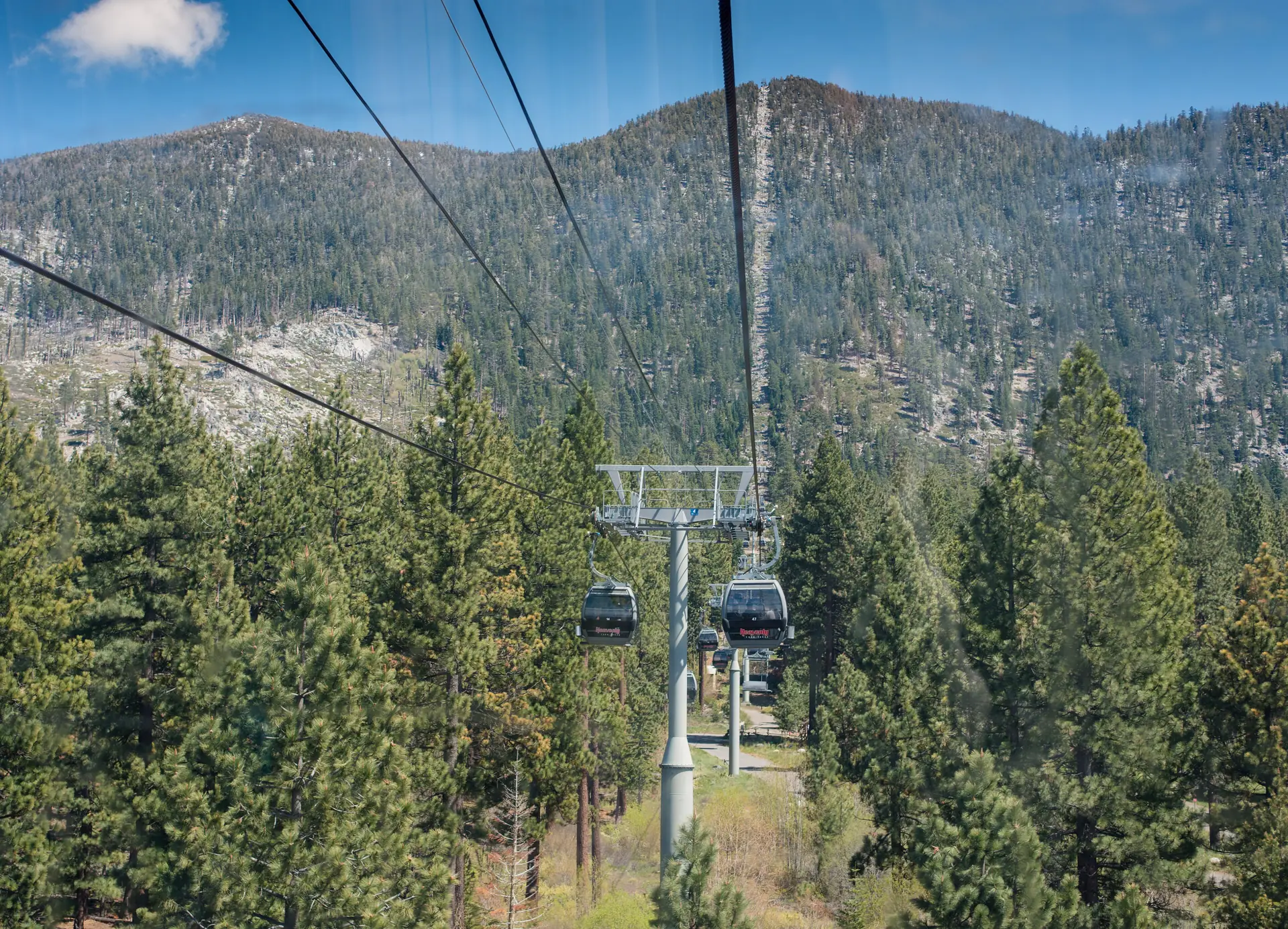 The Heavenly gondola above the pine forest with Lake Tahoe beyond