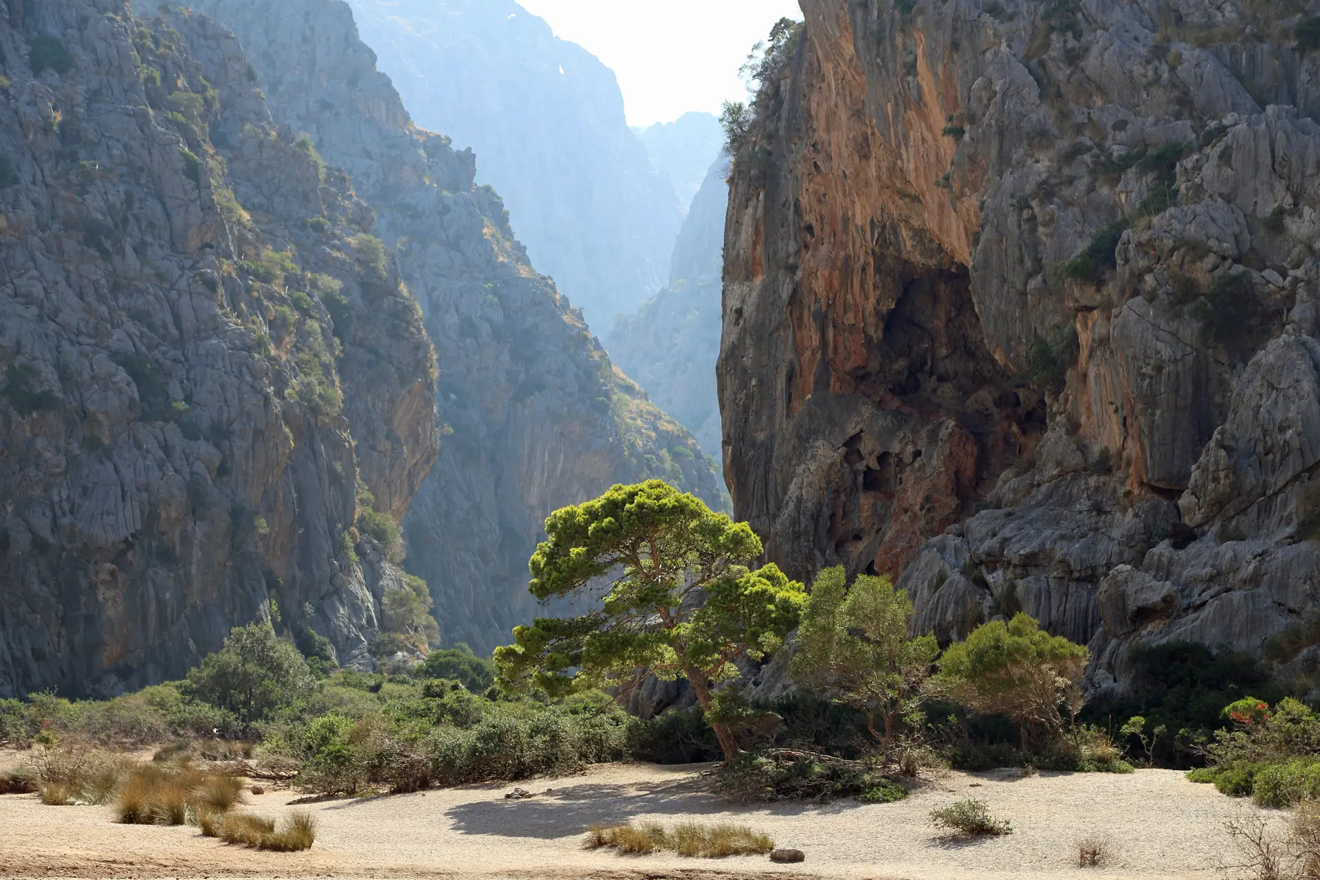 The Torrent de Pareis gorge in the Serra de Tramuntana: grey limestone walls hundreds of metres high closing in over a dry boulder bed