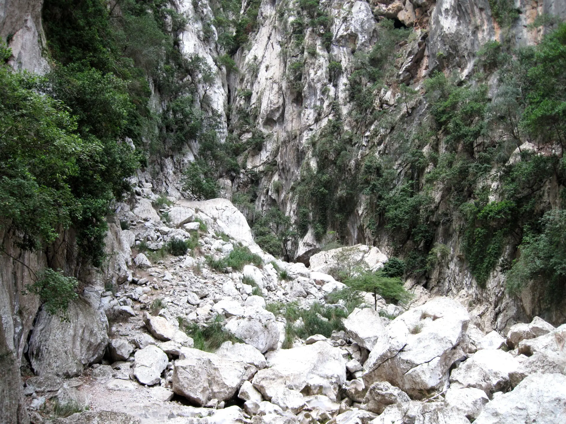 The narrow Torrent des Gorg Blau near s'Entreforc: pale boulders wedged between towering limestone walls, green shrubs clinging to the rock