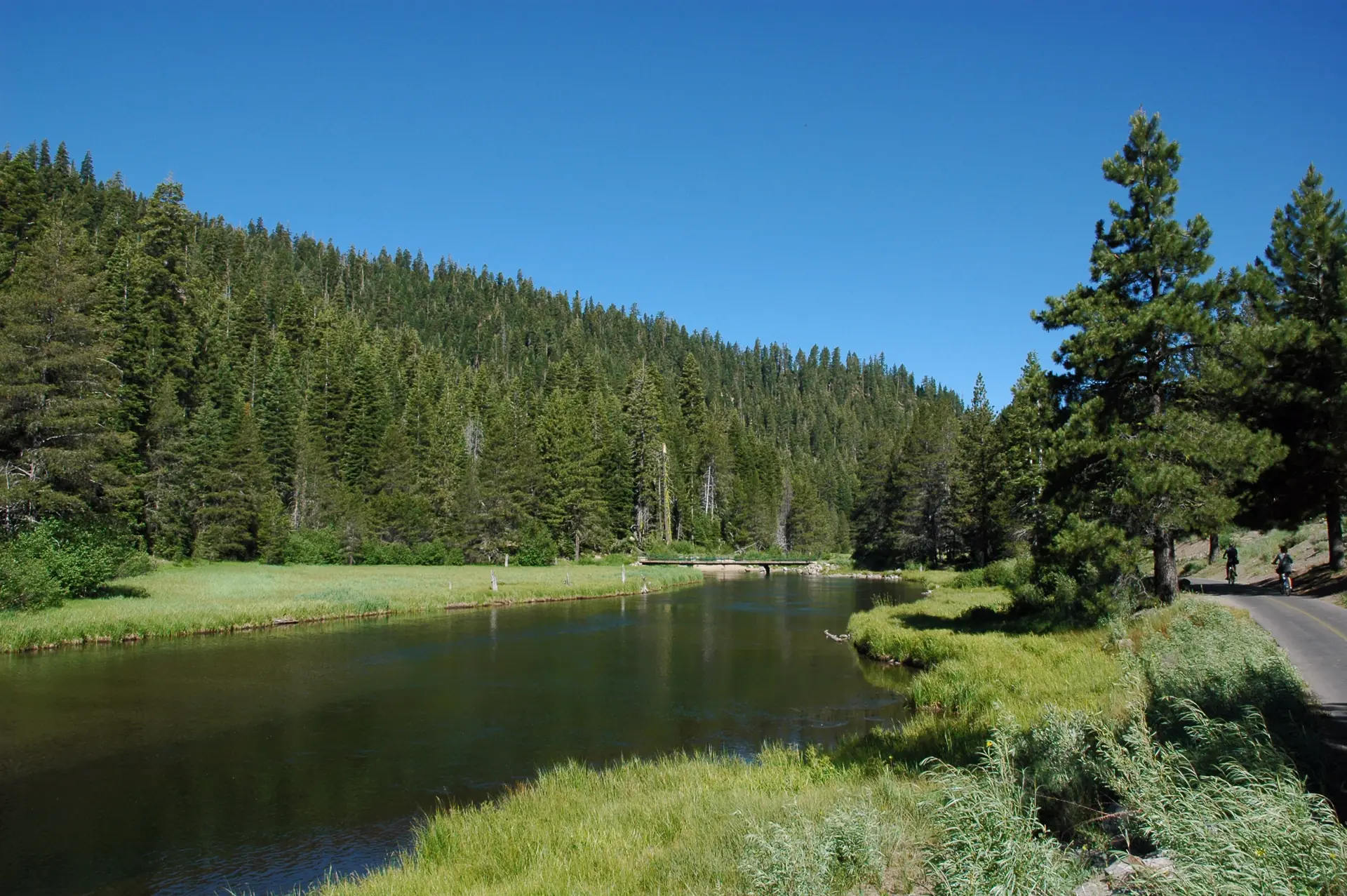 The Truckee River near Tahoe City, calm between meadows and pines