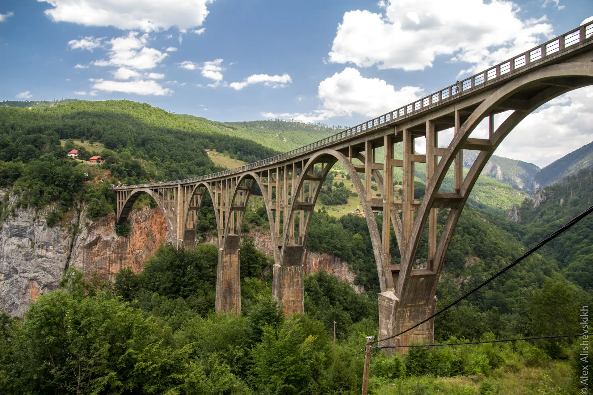 The five concrete arches of the Đurđevića Tara Bridge spanning the green Tara canyon