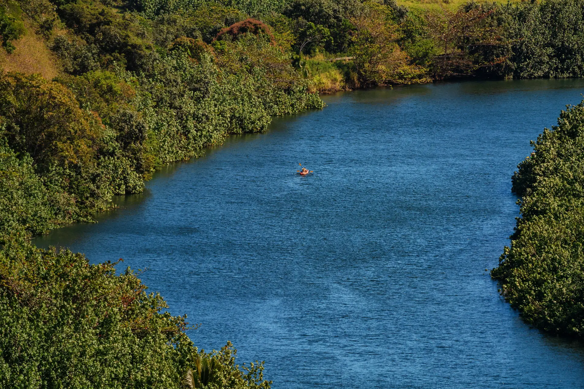 Kajaks auf dem ruhigen, von Bäumen gesäumten Wailua River auf Kauai