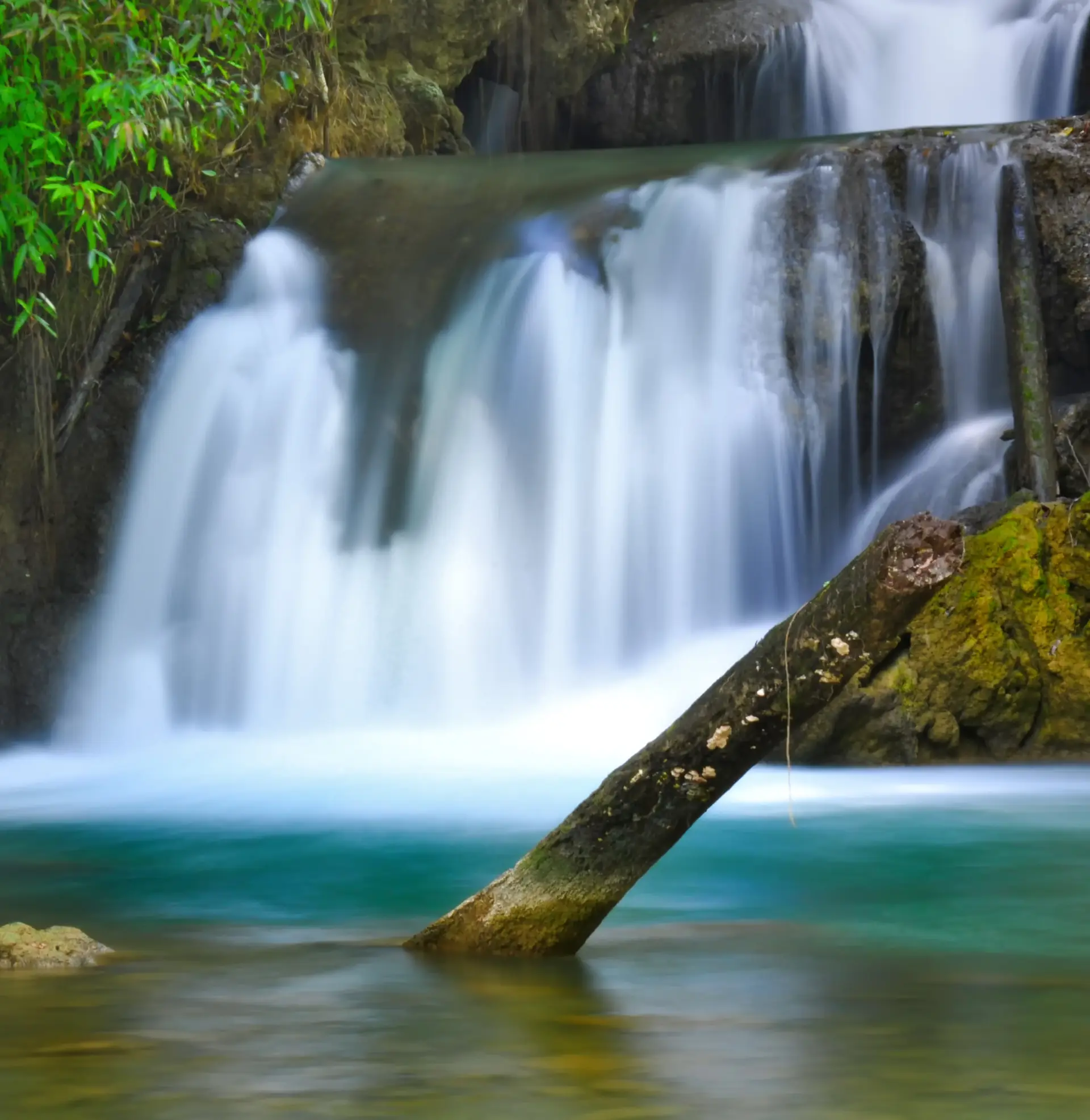 One of the seven tiers of YS Falls pouring over mossy rock into a green pool