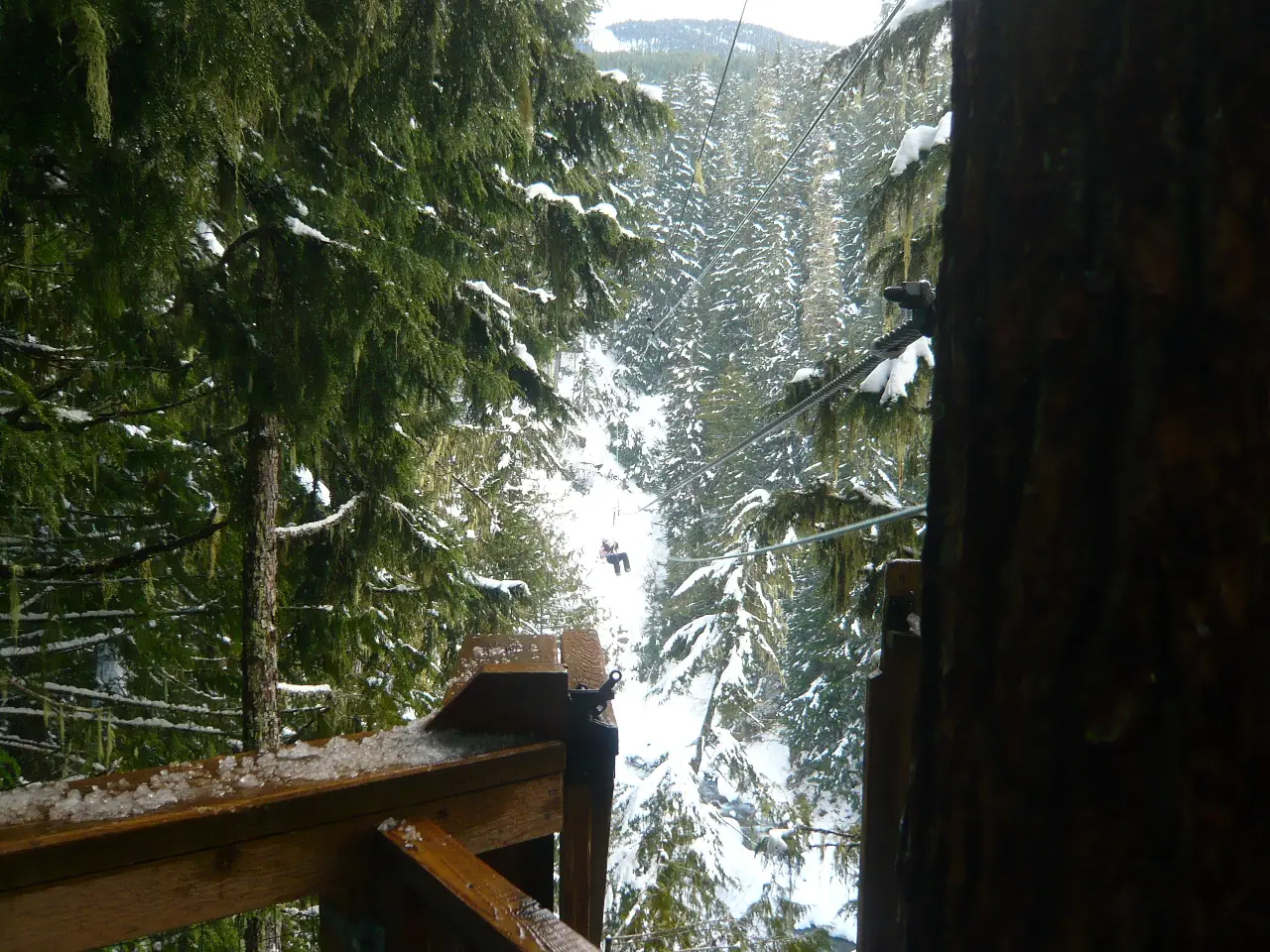 Zipline cables strung high over Fitzsimmons Creek between Whistler and Blackcomb mountains